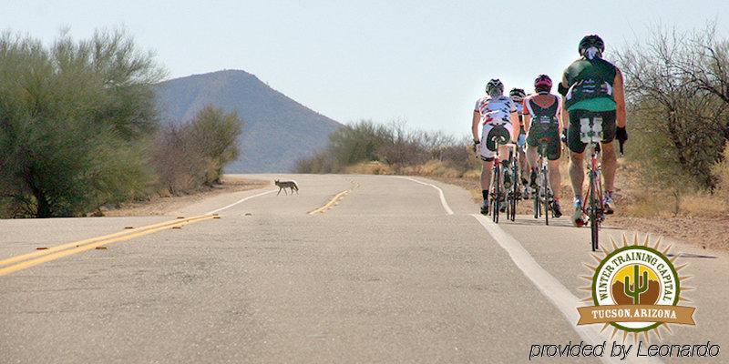Wyndham Airport & Conference Center 3* Tucson